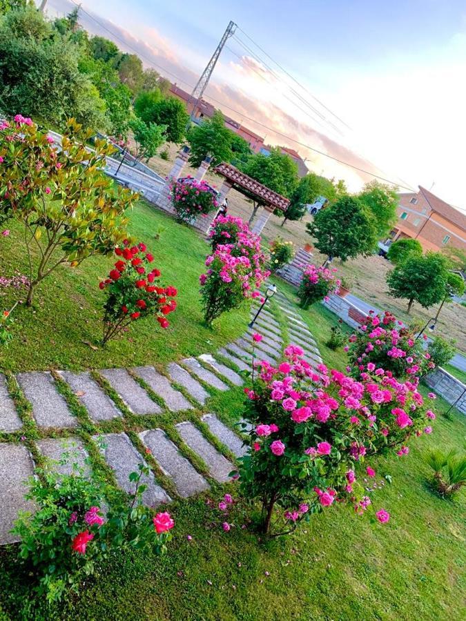 B&B Da Mary Matrice Esterno foto